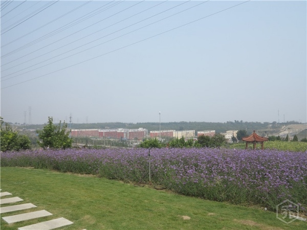 IMG_0461.jpg