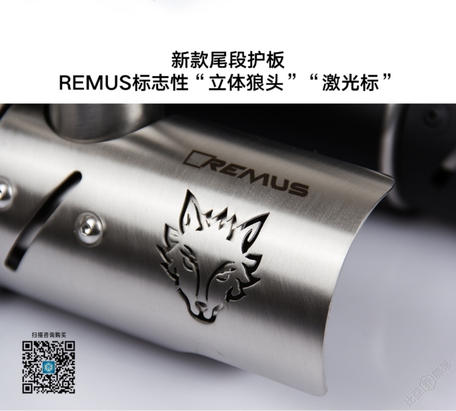Remus300dual002QR.jpg